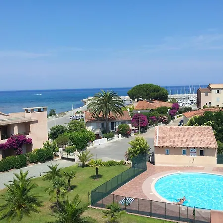 Palmeraie 31 -piscine En - Sari-Solenzara